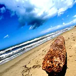 Essenza Del Mare * Livorno