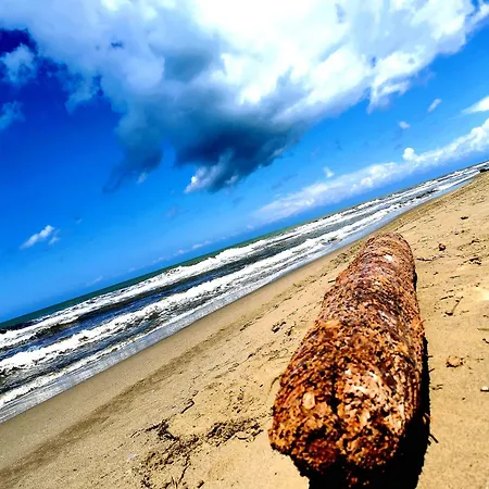 Essenza Del Mare * Livorno